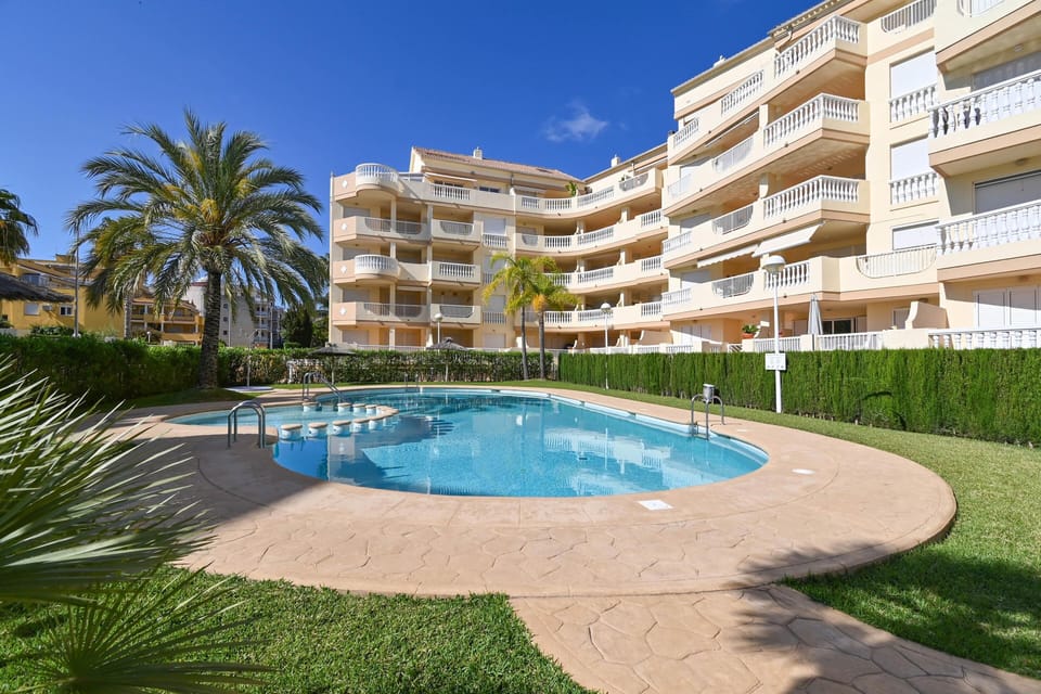 Garden and swimming pool