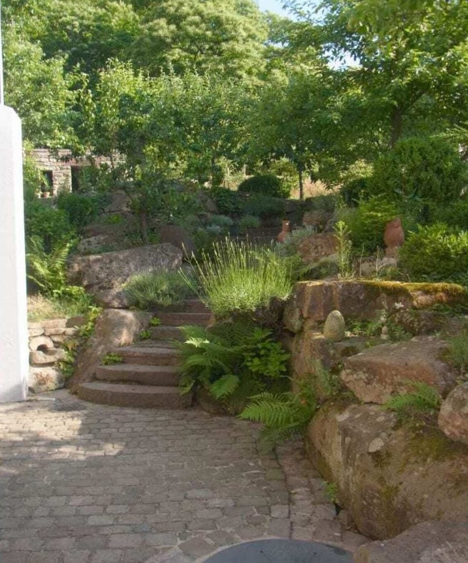 Garden [summer]