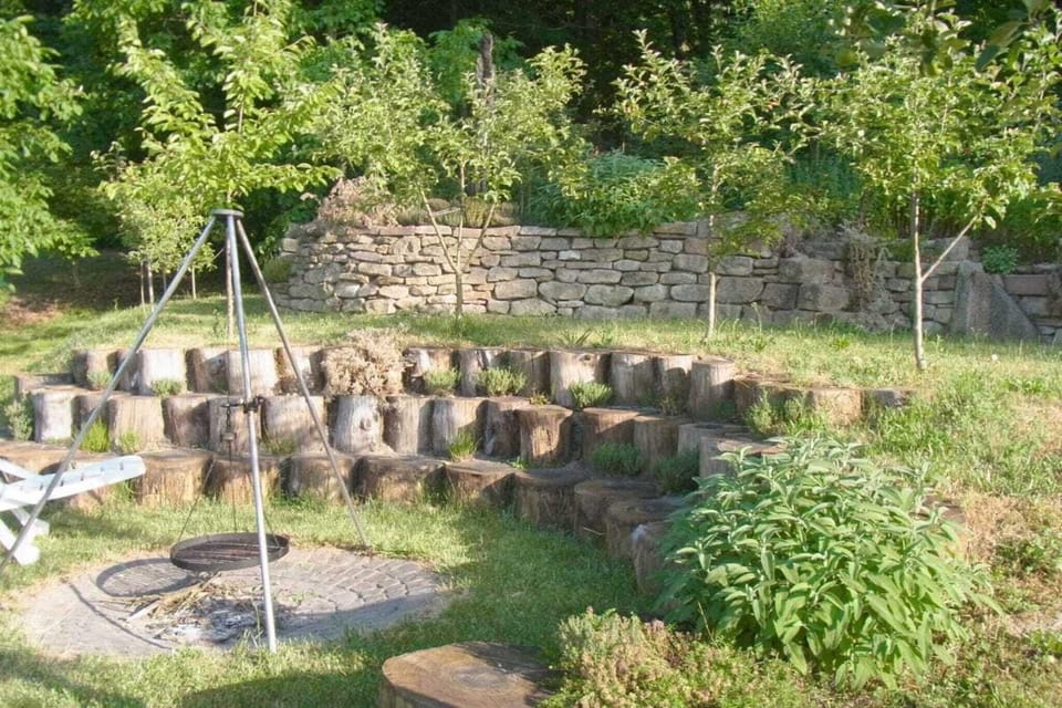 Garden [summer]