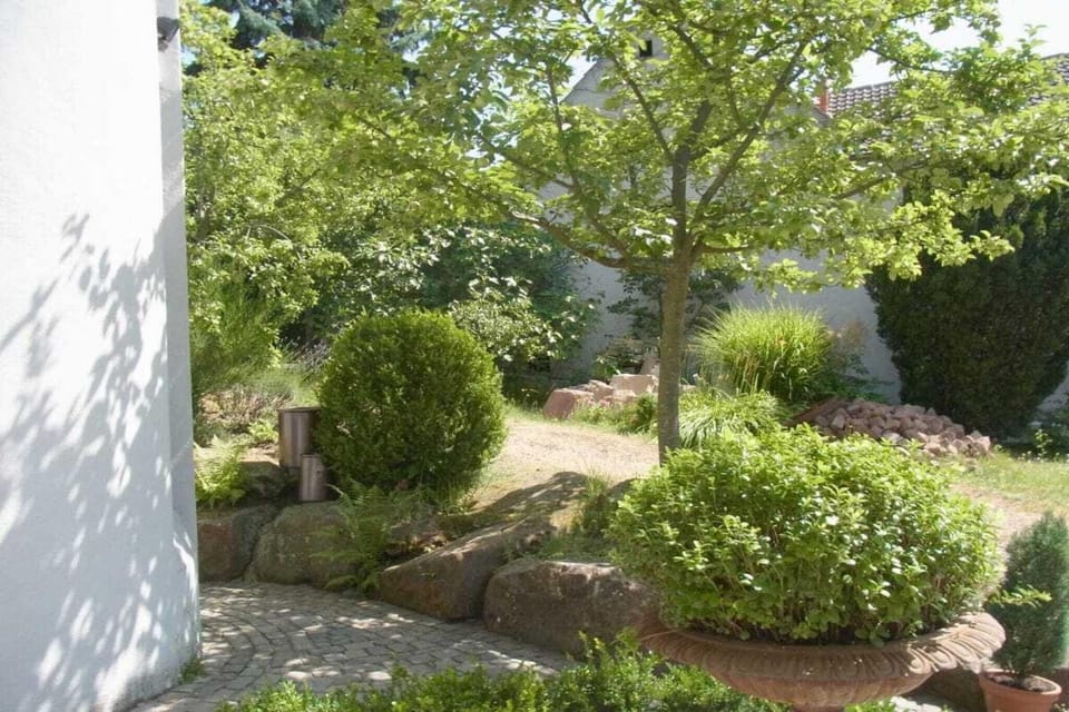 Garden [summer]
