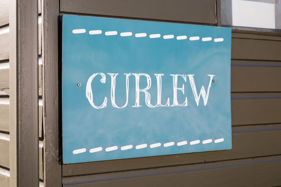 Curlew - Bleasdale