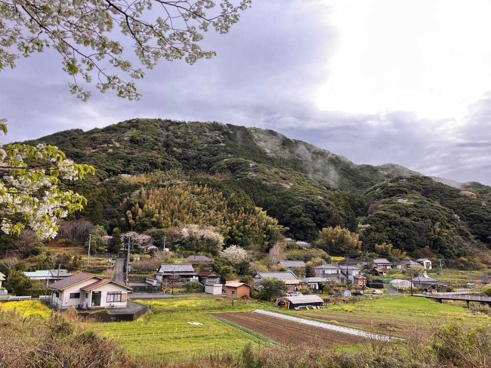 Town view