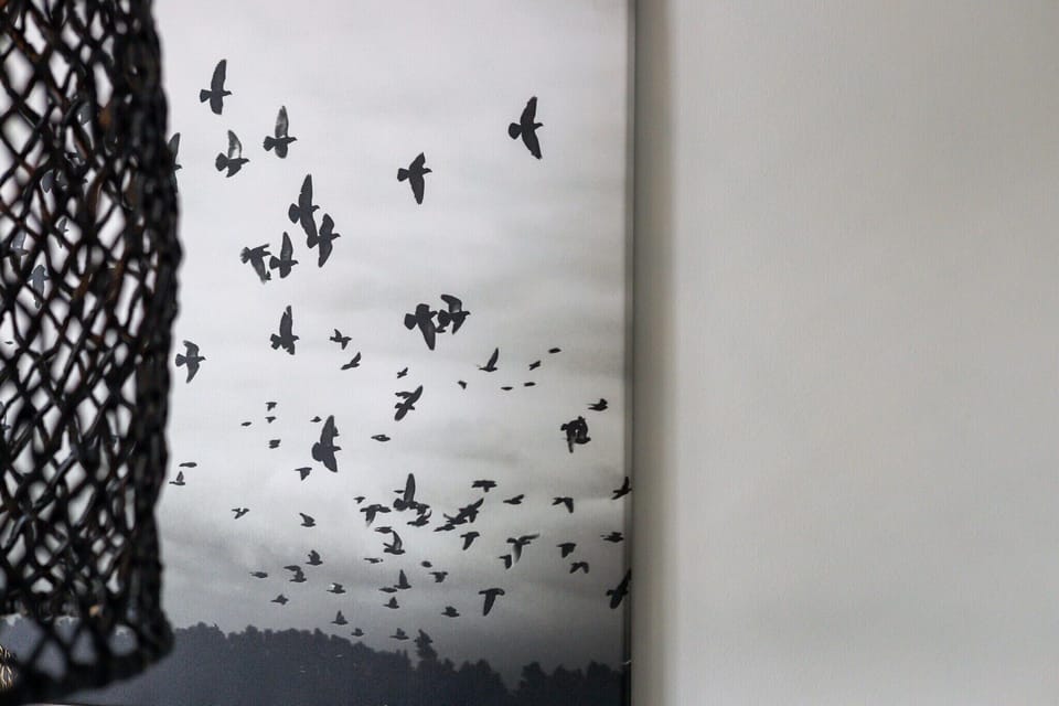 View from Holiday Home [summer]