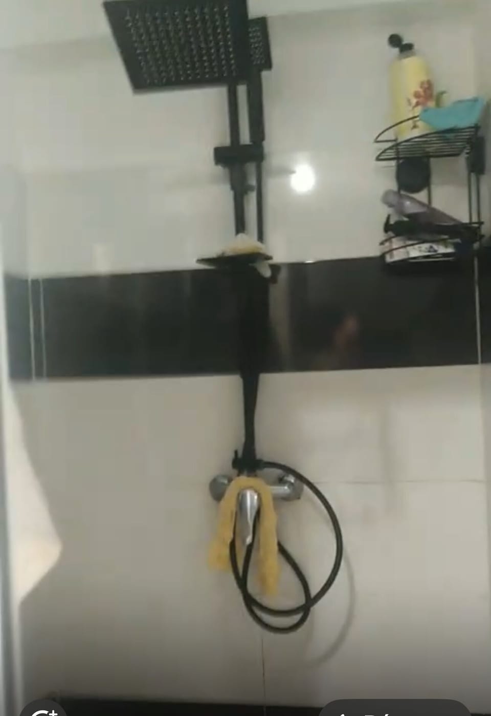 Hand-held showerhead