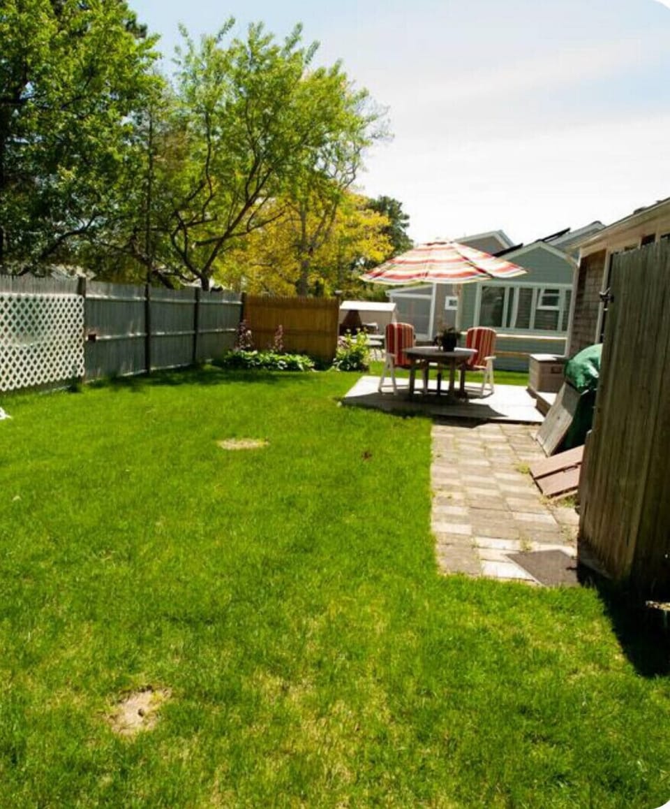 Back Yard -before the current drought