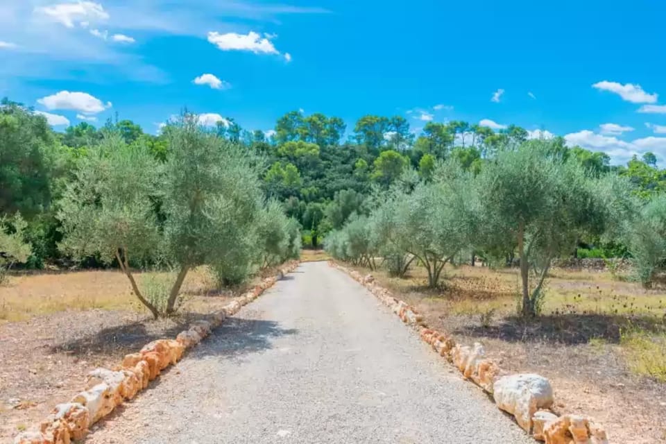 Surroundings [summer] (1-5 km)