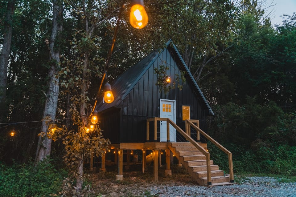 Blonde Treehouse