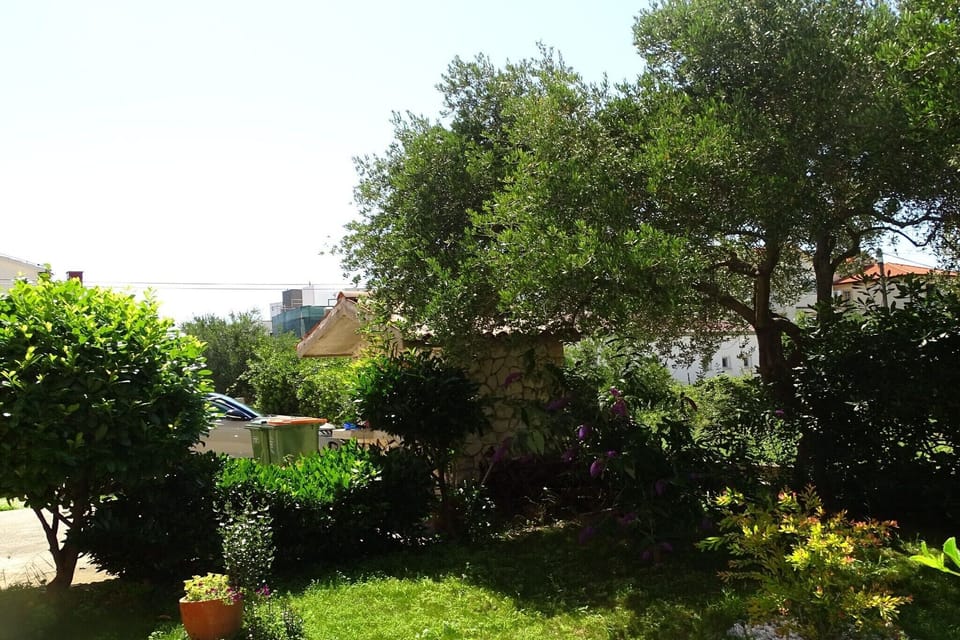 Garden [summer]