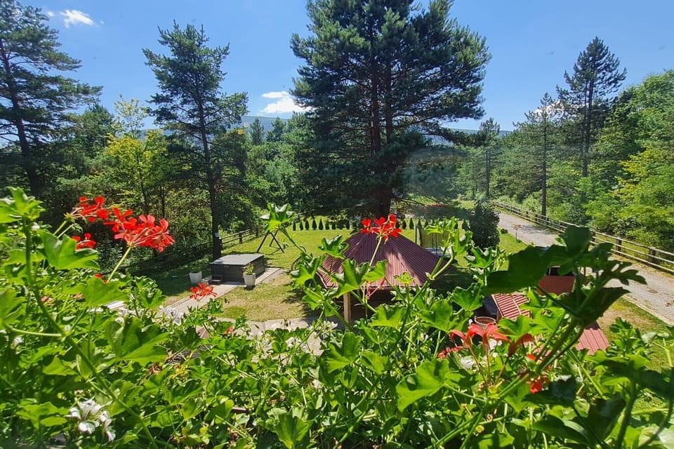 Garden [summer]