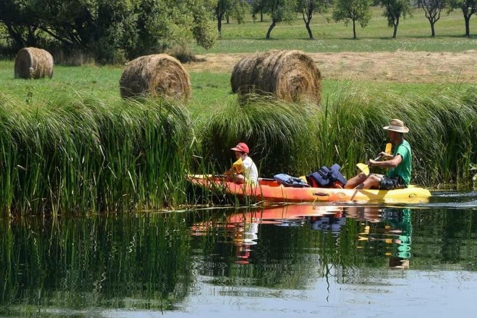 Holiday Home Facilities and Services