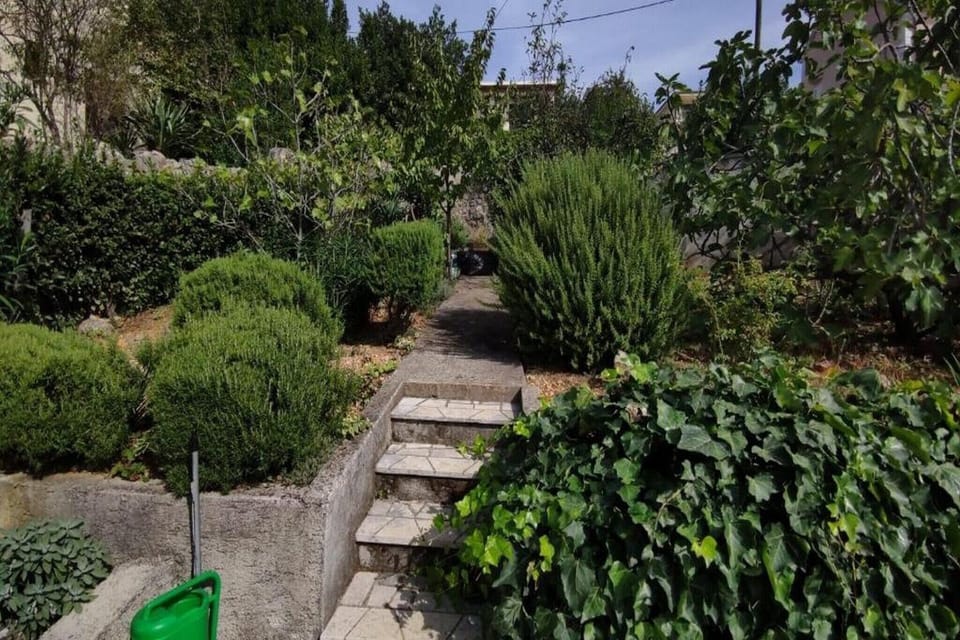 Garden [summer]