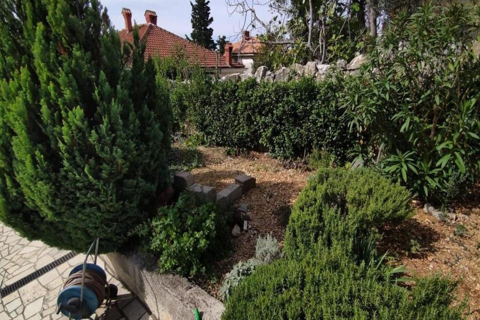 Garden [summer]