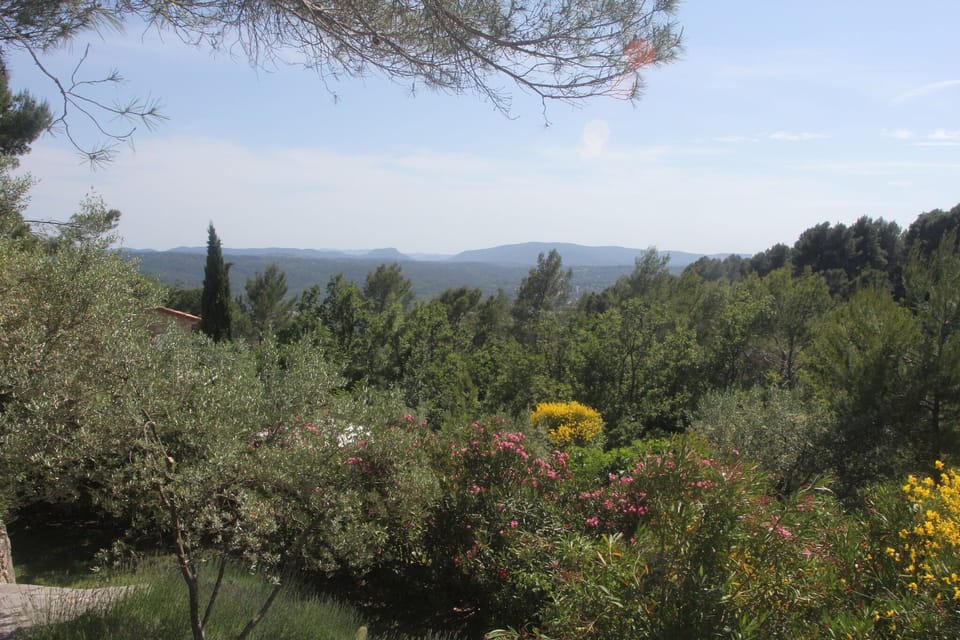 View from Holiday Home [summer]