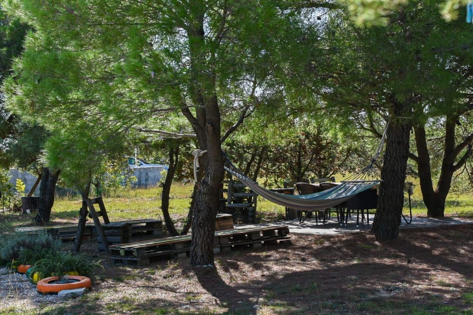 Garden [summer]