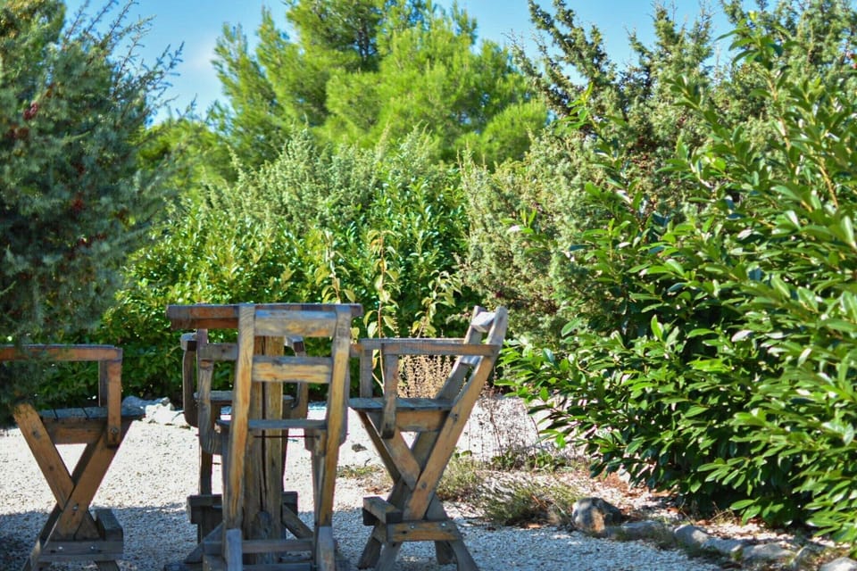 Garden [summer]