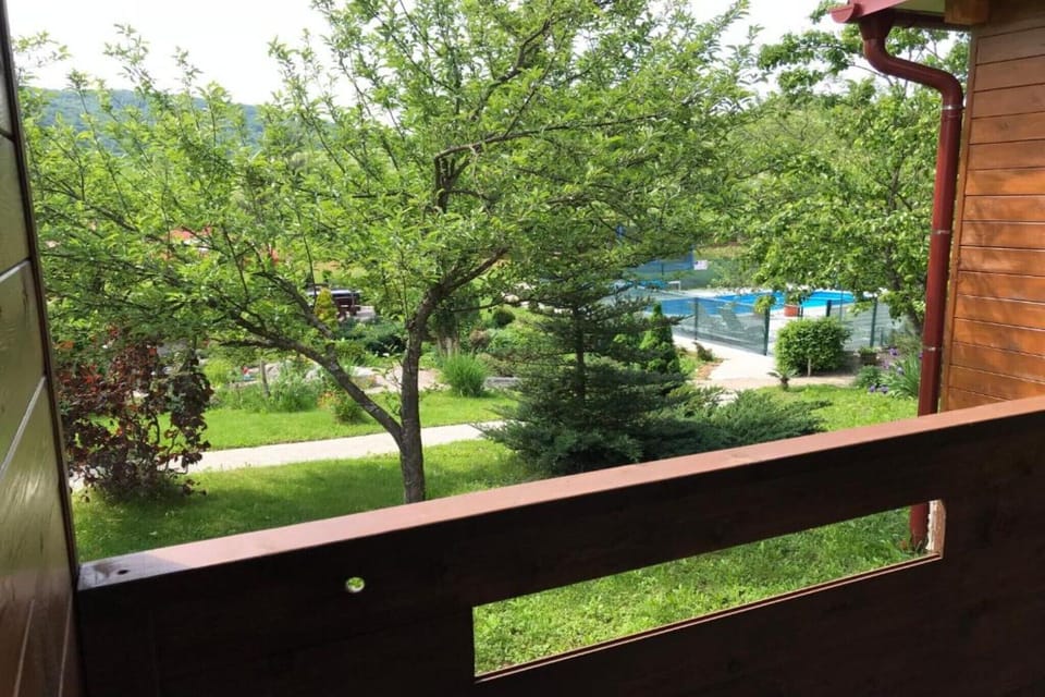 Garden [summer]