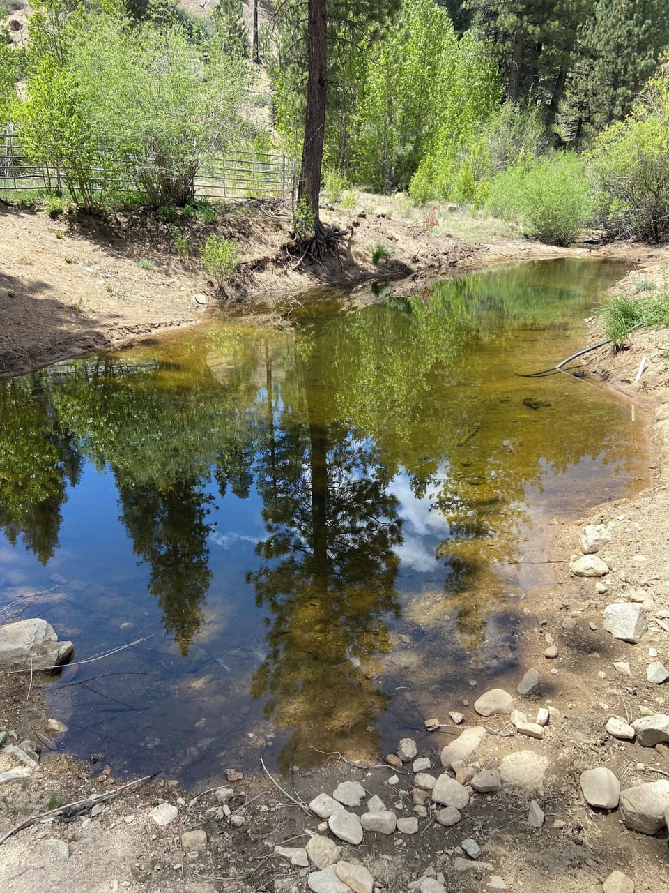 sixty foot long by thirty foot wide seasonal deep water pond