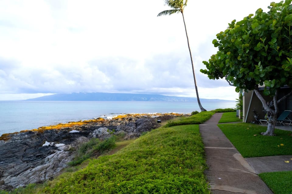 NAP-C31 Stroll oceanfront paths at Napili Point Resort Maui ? lush lawns, palm trees & breathtaking shoreline views