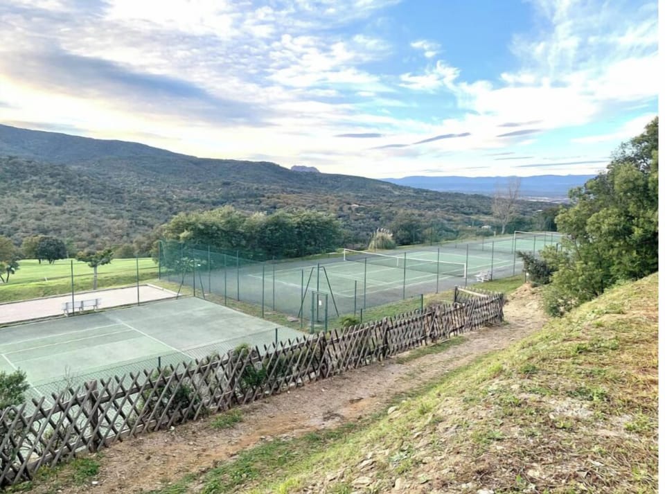 Sport court