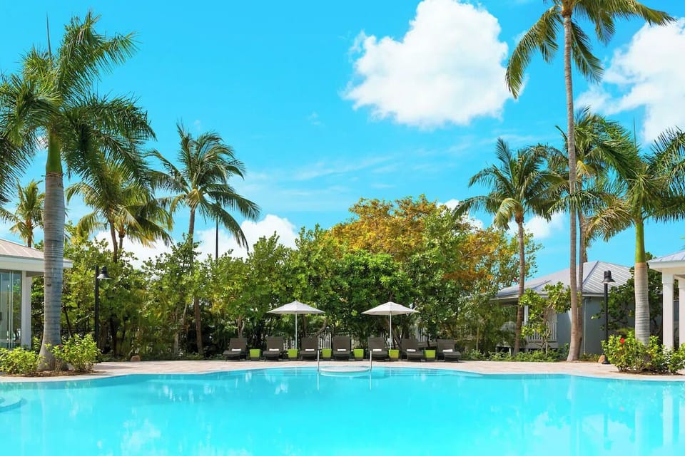 Unwind poolside under swaying palms and bright blue skies.