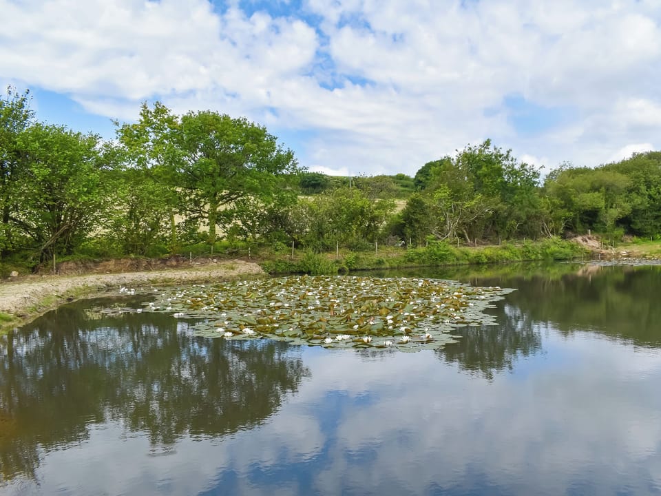Surrounding area | Dairy Cottage - Tor View Cottage Holidays, Trebell Green, near Bodmin