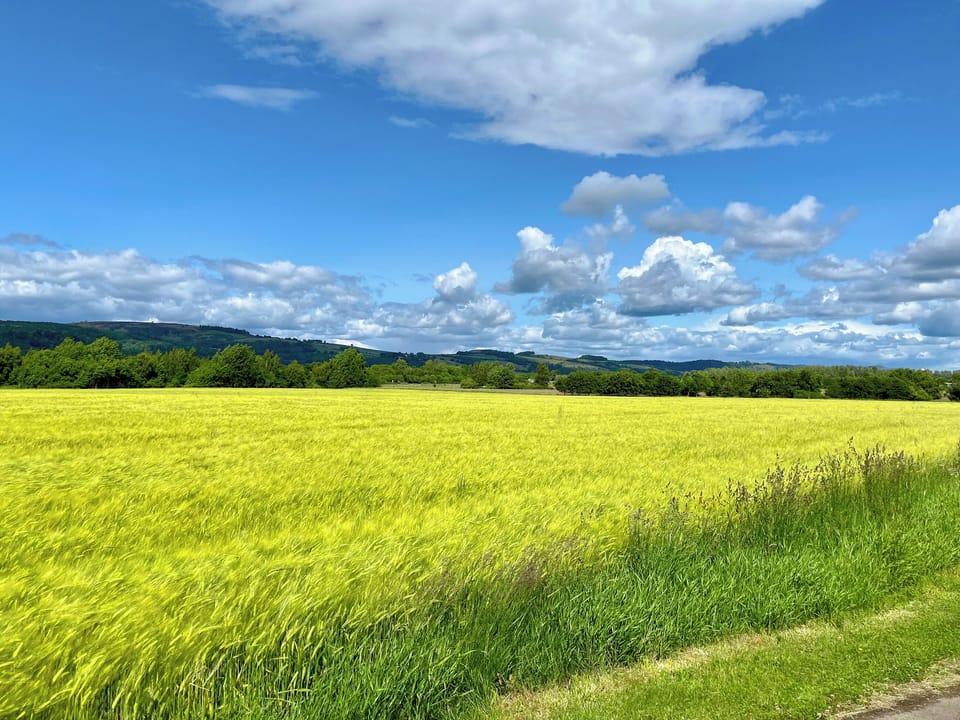 Surrounding area | Greenacres, Perth