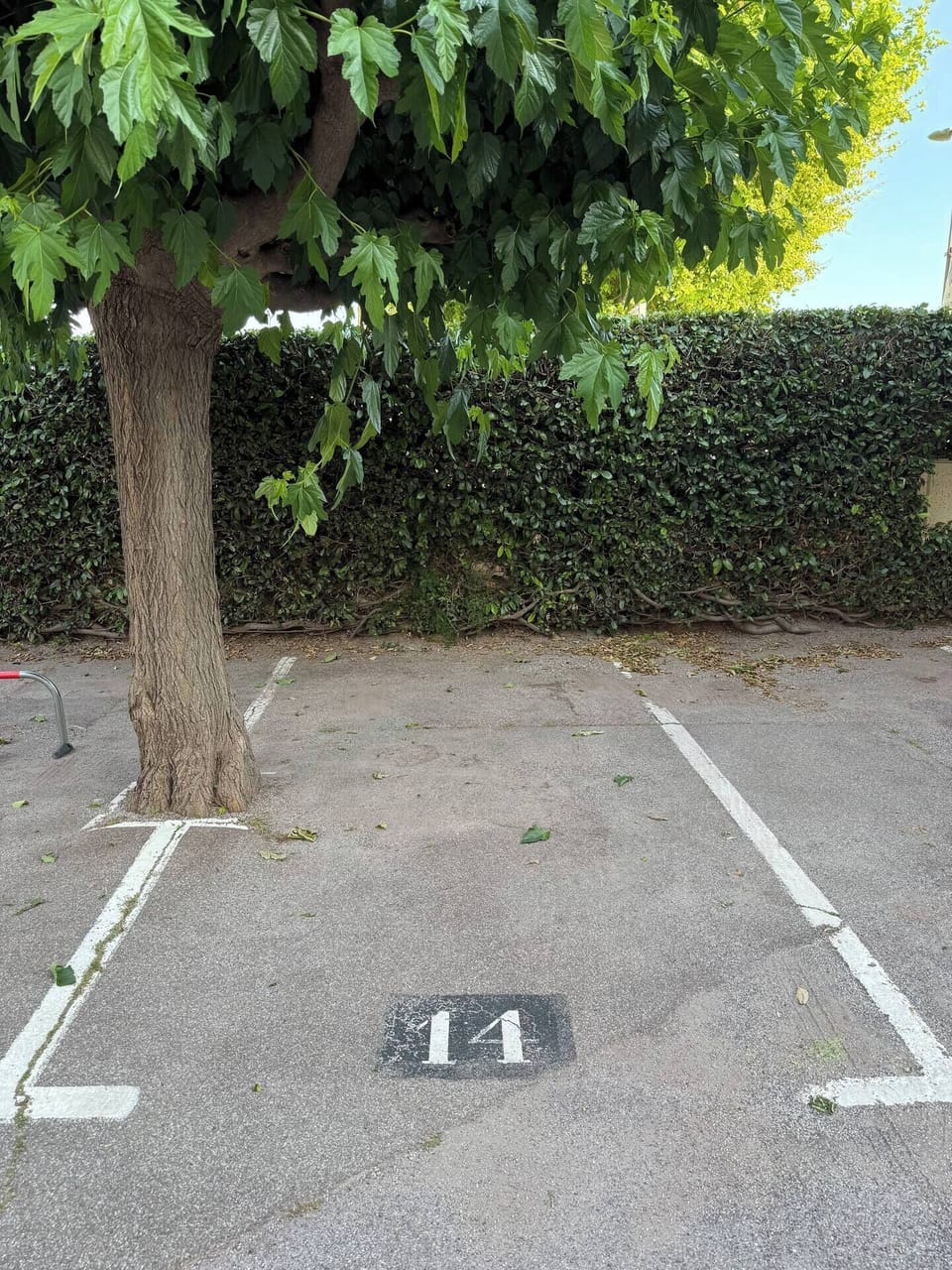 Property grounds