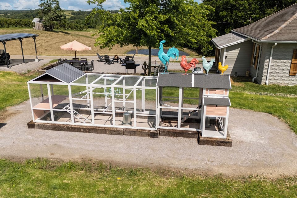 Private chicken coop for your own eggs