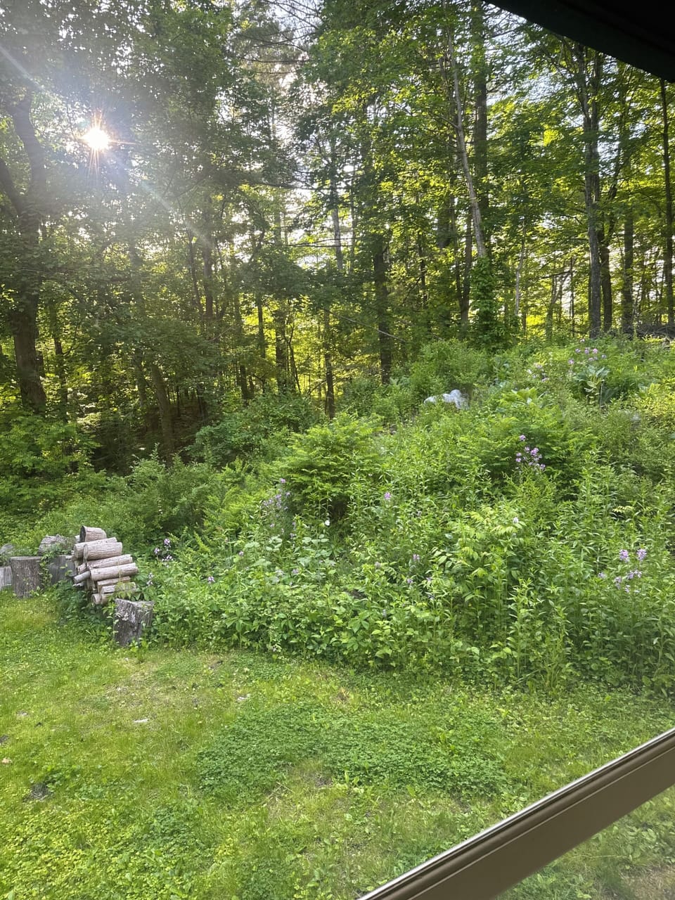 View from property