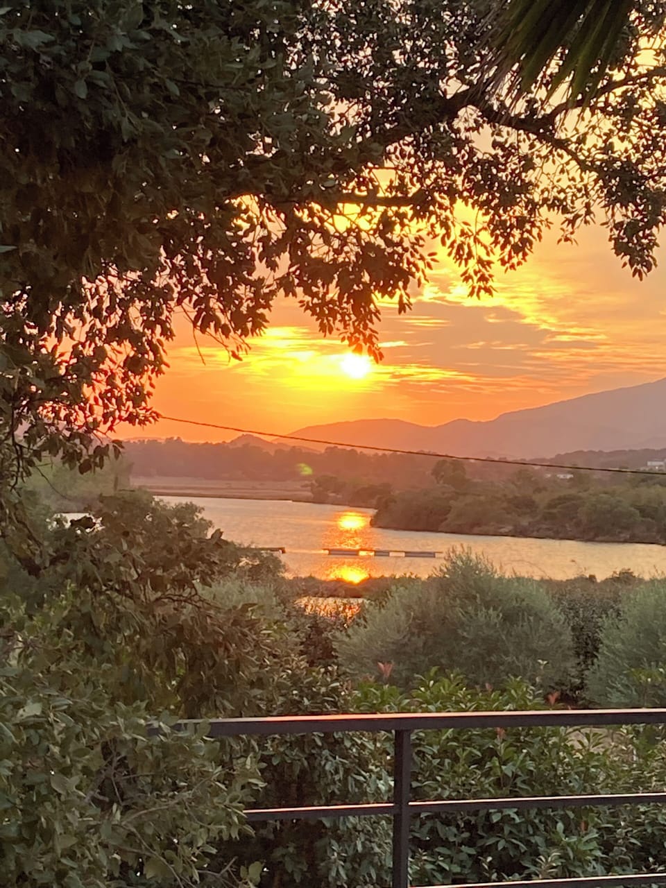 View from property