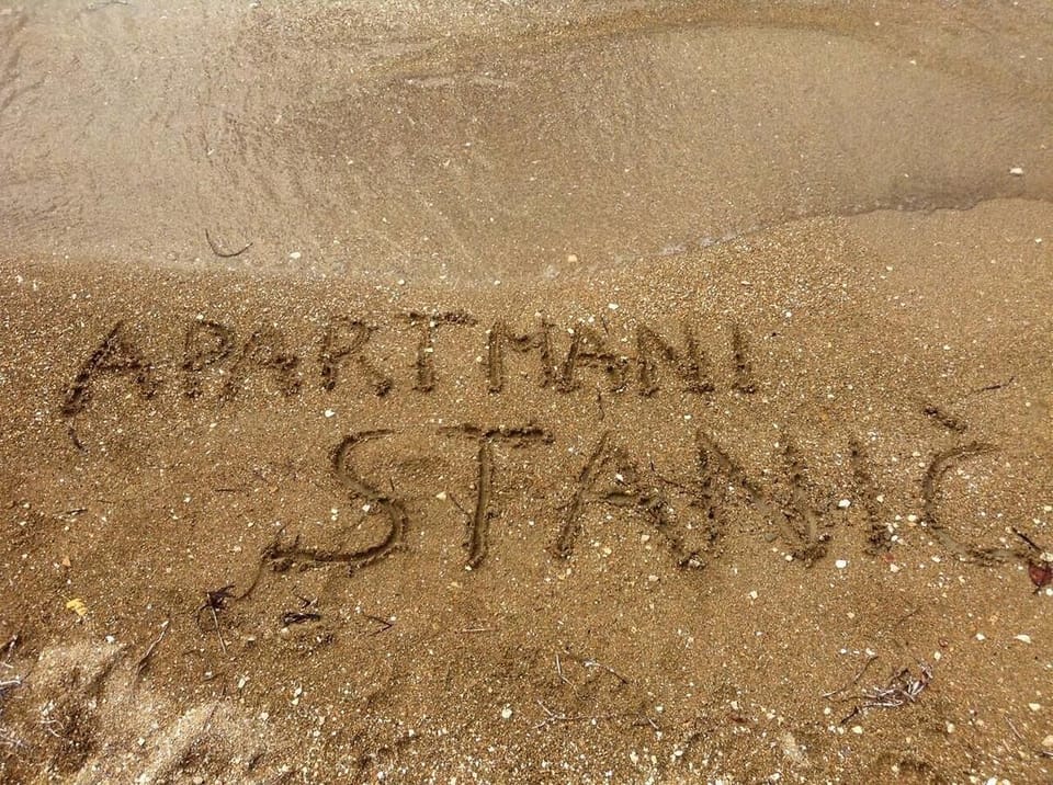 Detail from the beach