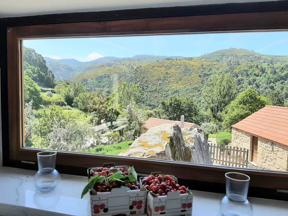 Kitchen's South view