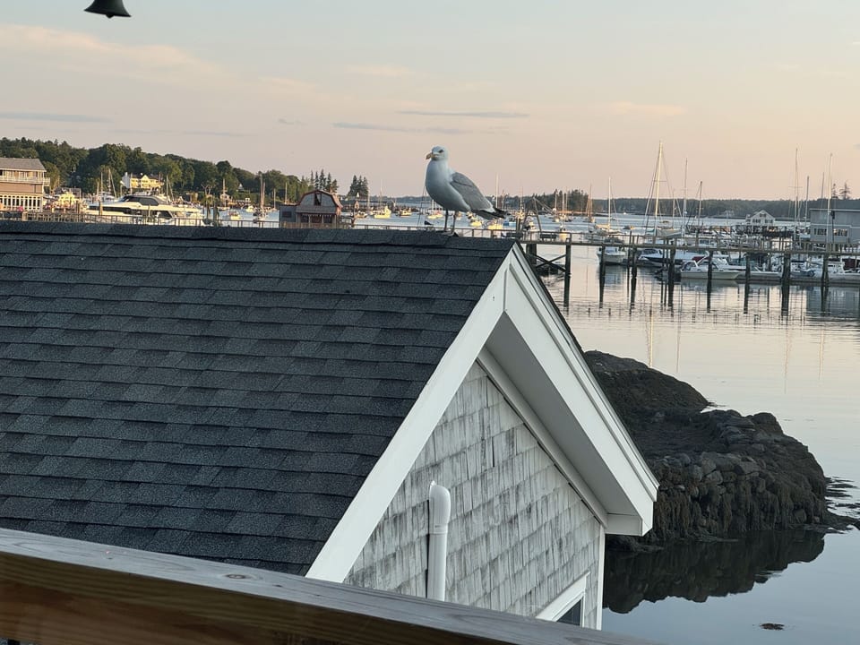 View from property