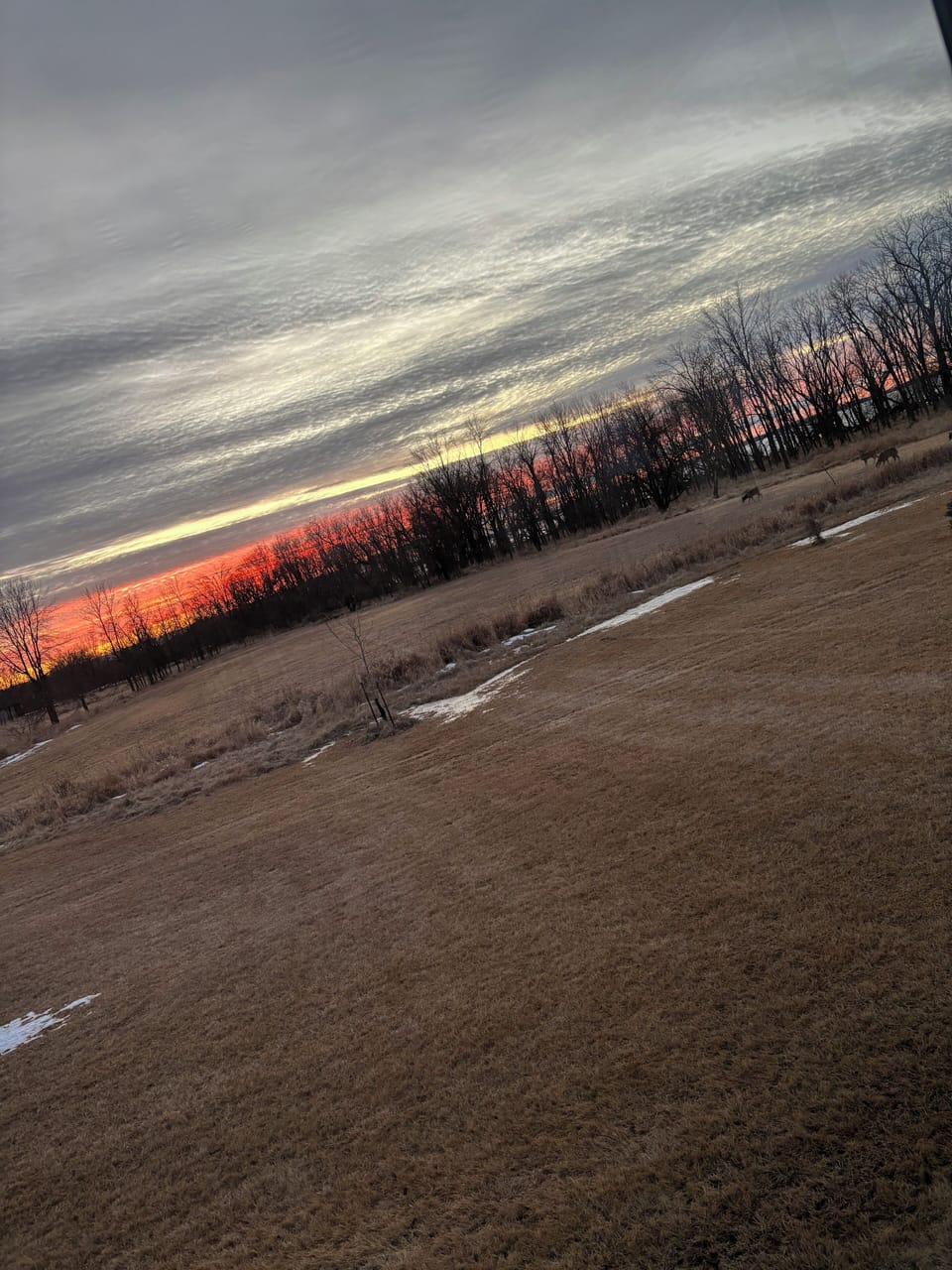 Lake and country views with lots of wildlife to watch.
