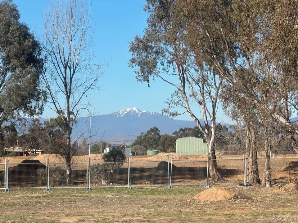 View of Mt Buller from wandering the backyard/paddock
