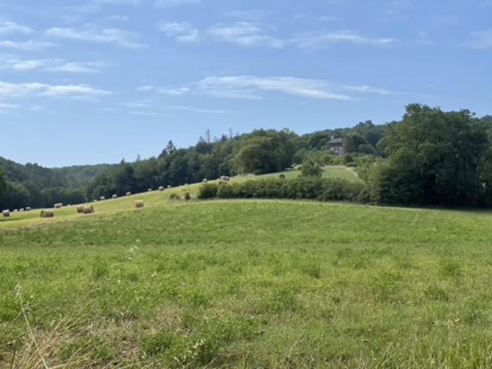 Immediate Surroundings [summer] (<1 km)