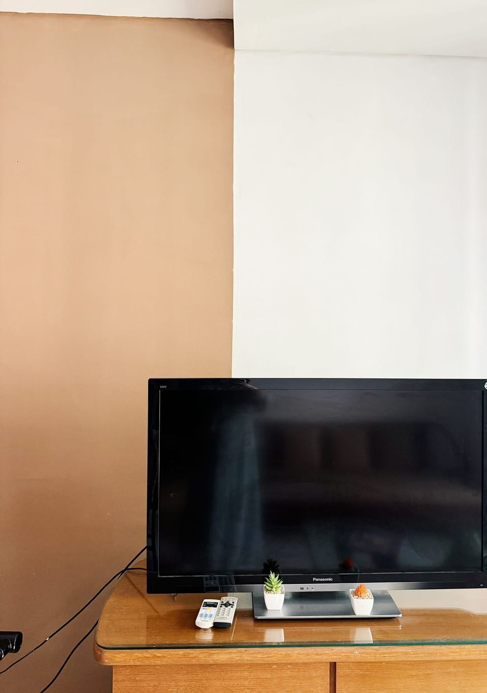 Television