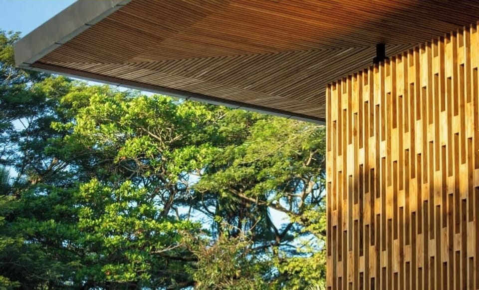 Naia 2_Roof detail