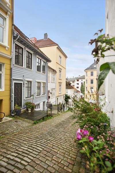 Classic Bergen views from a hilltop – colorful homes and natural beauty.