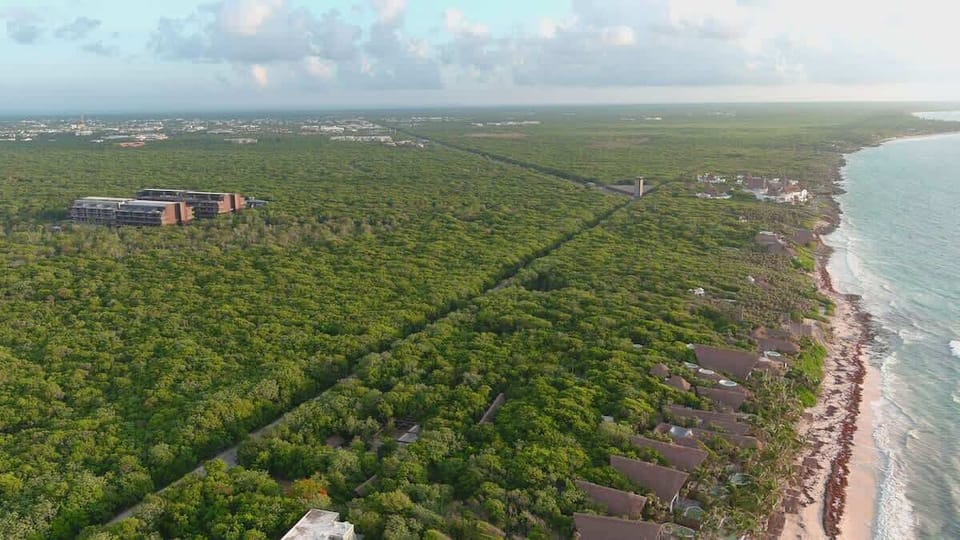 Aerial view