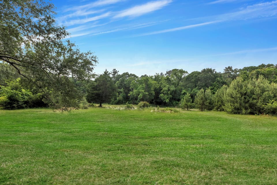 Spacious meadow a few hundred yards from our cabin. We often see deer here.
