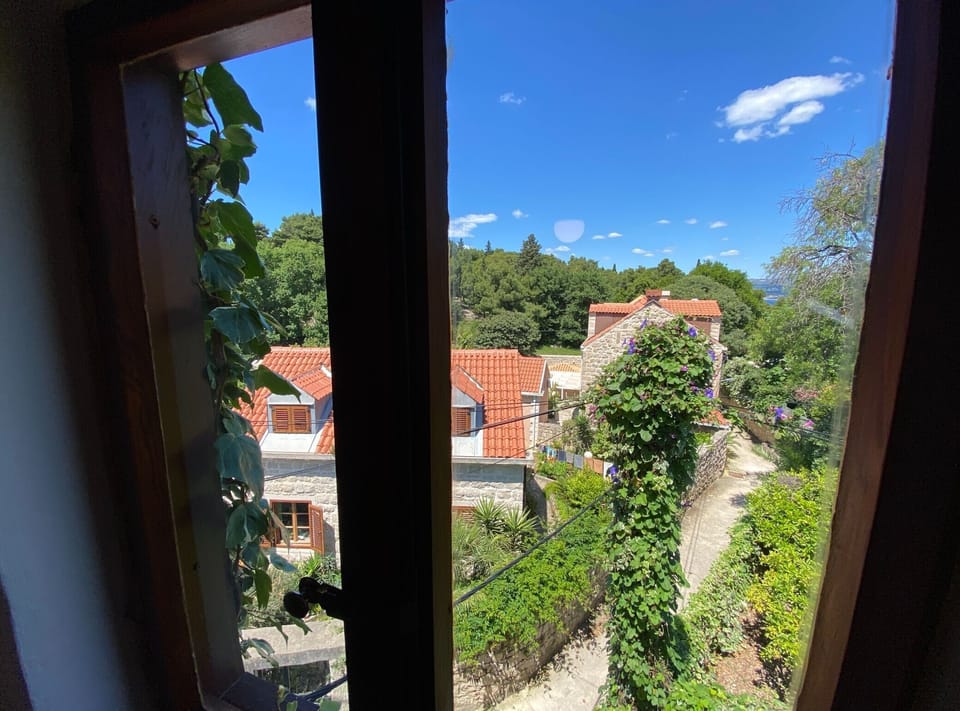 View from room
