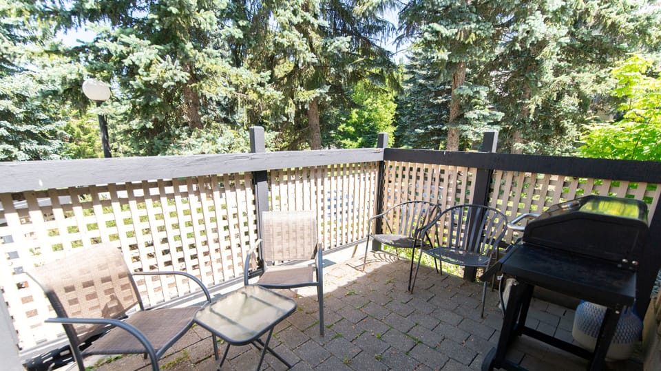 Patio with propane BBQ