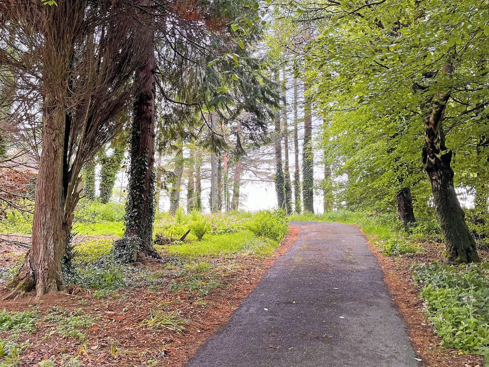 Part of the driveway up to the house | Woodside Cottage, Pinwherry, near Girvan