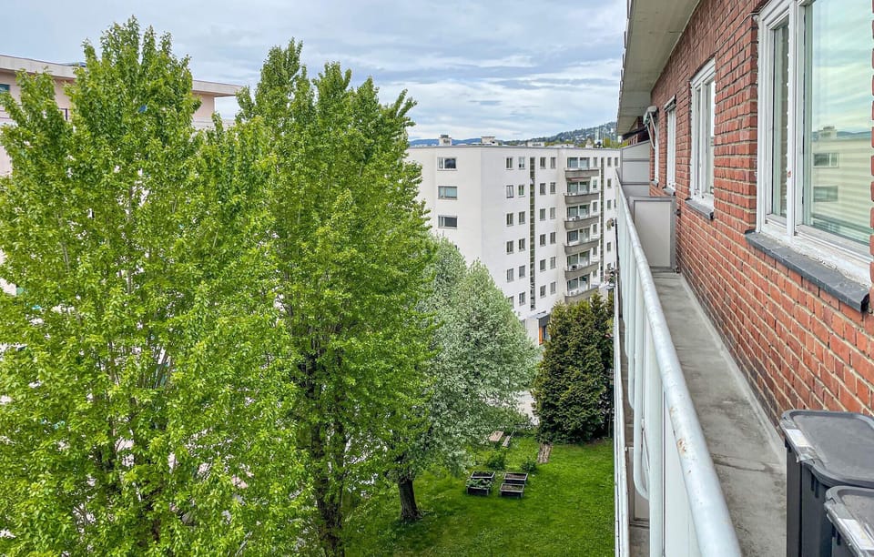 view-from-room