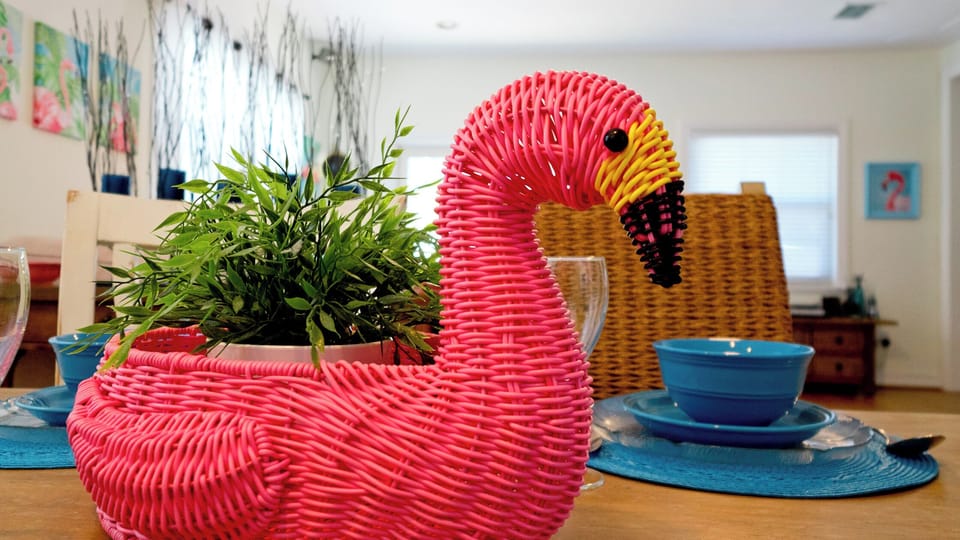 Welcome to flAMIngo house!