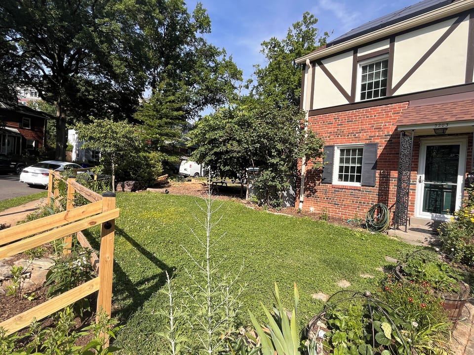 The property has a gorgeous garden full of native plants and flowers.