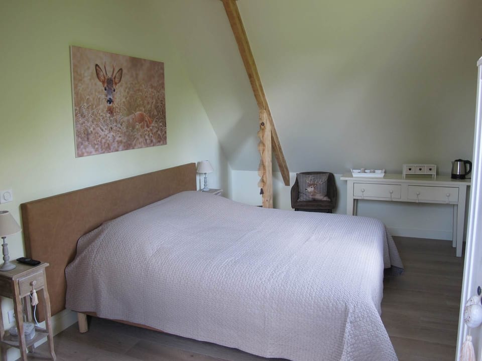 Plafond cathédrale et poutres apparentes. Vue sur l'Abbaye du Mont des Cats.