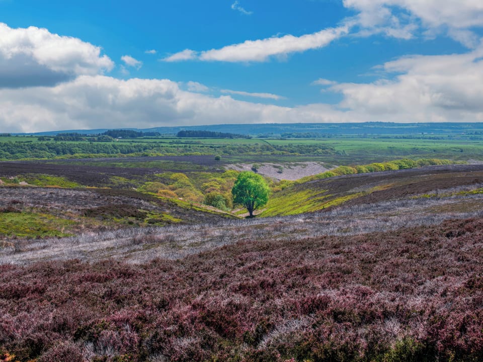 North Yorkshire Moors National Park