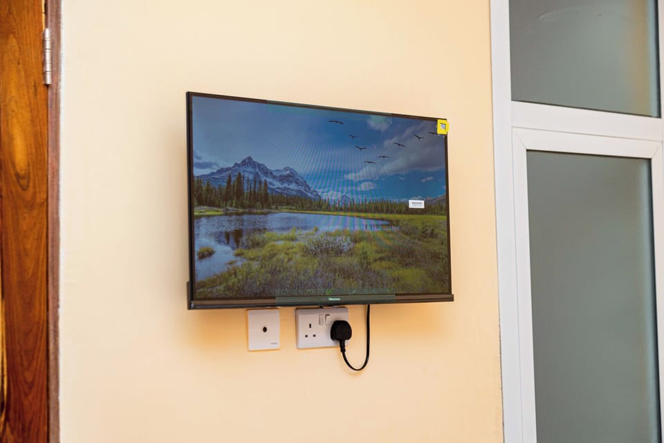Television